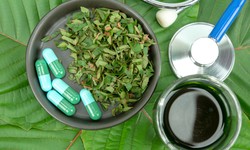 The Healing Effects of Wholesale Kratom Products on Hustling Office Workers