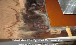 What Are The Typical Reasons For Water Damage In Houses?