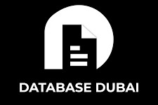 The Dubai Database: An Overview of the City's Comprehensive Information System