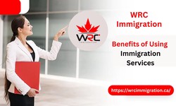 What Are the Benefits of Using Immigration Services?