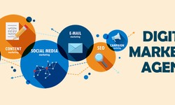 Digital Marketing Company in Dwarka, Delhi: The Ultimate Solution to Grow Your Businesses Online.