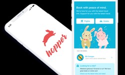 How To Make A Travel App Like Hopper?