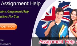 Best australian assignment help to provide effective online assistance