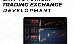 Strategies for Developing the Best Crypto Margin Trading Exchange