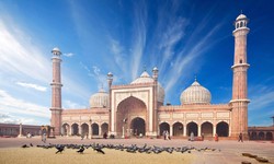 Explore Golden Triangle Tour – A Complete Golden Guide for all