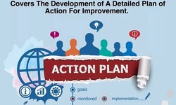 PruVisor Management Consulting covers the development of a detailed plan of action for improvement- PruVisor Management Consulting