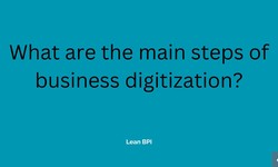 What are the main steps of business digitization?