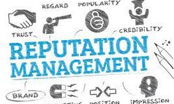 How should reputation management services be chosen?