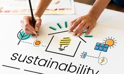 3 Reasons Why You Should Partner with a Sustainability Consulting Firm