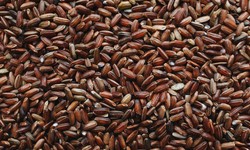 What is clarified rice syrup used for?