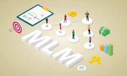 Steps To Follow Before Investing In MLM Software
