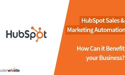 A Beginner's Guide to HubSpot