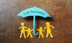 SPROUTT LIFE INSURANCE COMPANY: EVERYTHING YOU NEED TO KNOW!