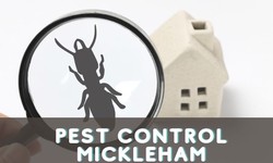 What are The Benefits Of Hiring Professional Exterminators In Mickleham?