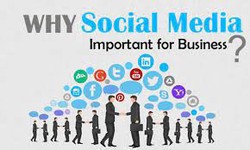 Why SMO is important for business?