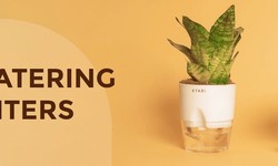 Grow Healthy Plants with Self-Watering Pots