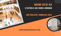 M3M SCO Sector 43  Gurgaon | Move Your Office Here