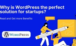 Why is WordPress the perfect solution for startups?