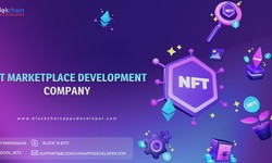 Unlocking the Potential of Digital Assets with NFT Marketplace Development Services
