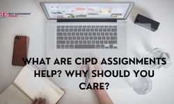 What are cipd assignments help?  Why Should You Care?
