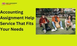 How to Find an Accounting Assignment Help Service That Fits Your Needs