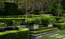 Why Is It Important To Hire a Landscape Designer?