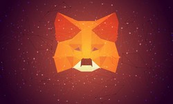 Comprehensive Guide to Successfully Launching a Metamask Clone in 2023.