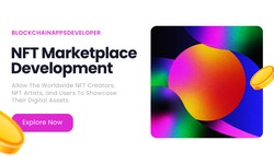 Build Your Own NFT Marketplace Or NFT Store Within 48 Hours