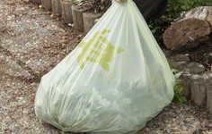 Plastic bags that are biodegradable?