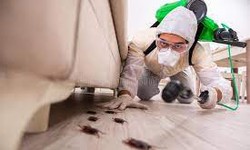 Say Goodbye to Pests: 5 Reasons Why You Need Commercial Pest Control