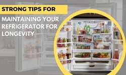 Strong Tips for Maintaining Your Refrigerator For Longevity