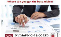 Save a lot of money with the assistance of seasoned tax consultant