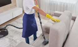 Protect Your Investment: Why Regular Sofa Cleaning is a Must