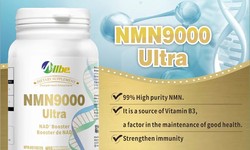 Revitalize Your Cells with the Best Quality NMN Supplement: Unlocking the Secrets of Anti-Aging