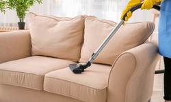 Are carpet cleaners safe to use on upholstery? Experts' Views