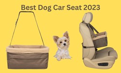 Dog Car Seat 2023|Real Information About Dog Car Seat