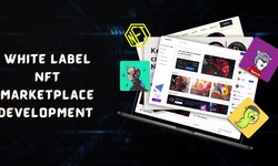 Launch Your Own NFT Marketplace Today: Work with a Trusted White Label NFT Marketplace Development Company