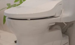 What To Know About Using Bidet Canada?