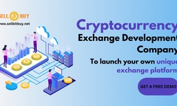 Cryptocurrency Exchange Development Company - A guide to enter Digital Asset Universe