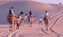 Experience the magic of the desert