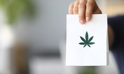 Weedmaps Delivery System: An Innovative Approach to Accessing Medical Marijuana