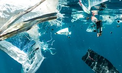 How to Stop Plastic Pollution in the Ocean
