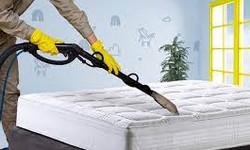 Why Professional Mattress Cleaning Services are a Must-Have in Koonda