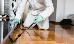 Say Goodbye to Pests: How Pest Control Noble Park Can Help Keep Your Home Safe