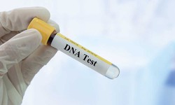 How Can I Be Sure a Genetic Test is Valid and Useful?