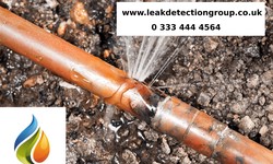 Leak Detection Specialist