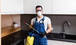 10 Simple Steps to Keep Pests Out of Your Home