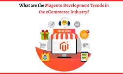 What are the Magento Development Trends in the eCommerce Industry?