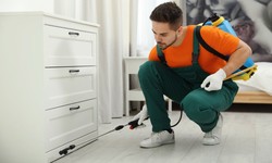 5 Powerful Spider Pest Control Products for a Clean and Safe Home