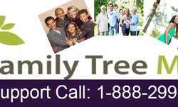 Explore Your Family Tree with Family Tree Analyzer